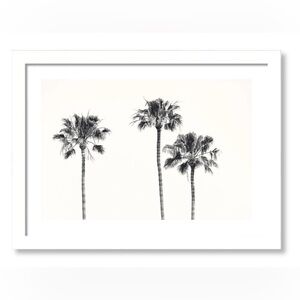 Three Amigos Print - Carly Tabak (18.5” x 14”)